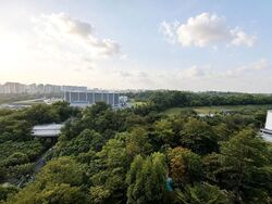 Blk 636B Senja Parc View (Bukit Panjang), HDB 4 Rooms #612544261